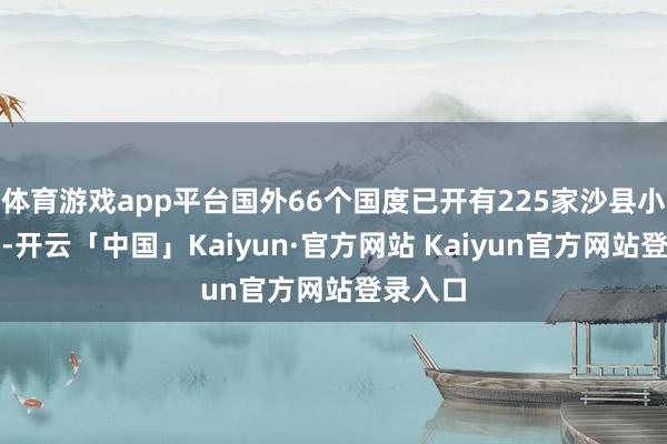 体育游戏app平台国外66个国度已开有225家沙县小吃门店-开云「中国」Kaiyun·官方网站 Kaiyun官方网站登录入口