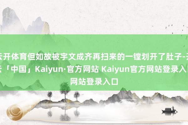 云开体育但如故被宇文成齐再扫来的一镗划开了肚子-开云「中国」Kaiyun·官方网站 Kaiyun官方网站登录入口