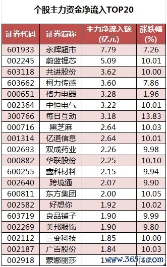 个股主力资金净流入TOP20.png